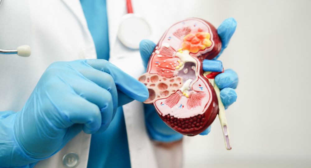 What-causes-kidney-failure