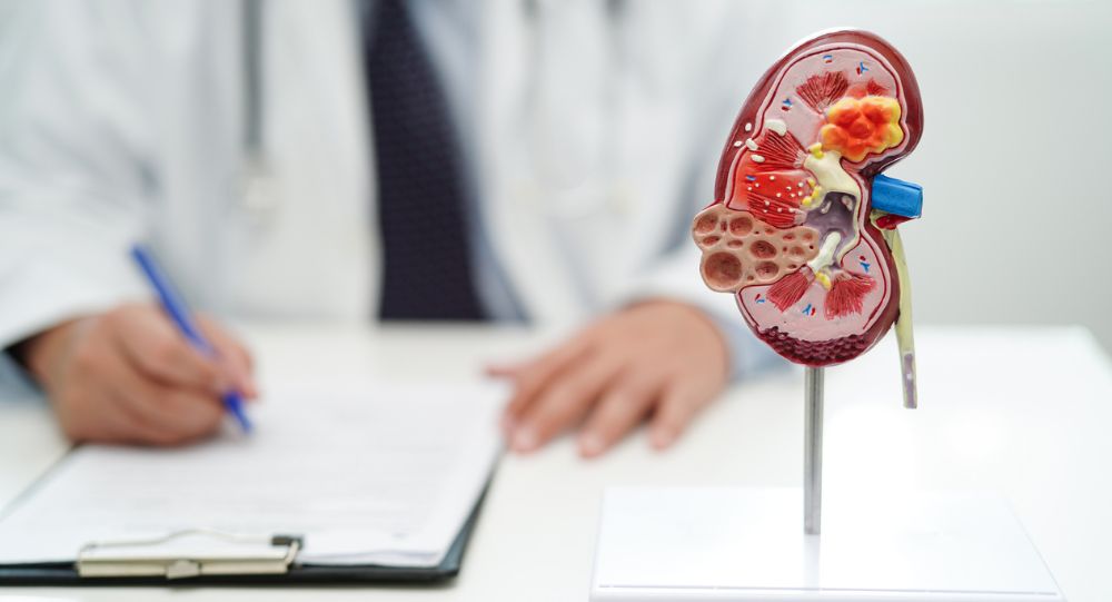 What To Know About Hydronephrosis