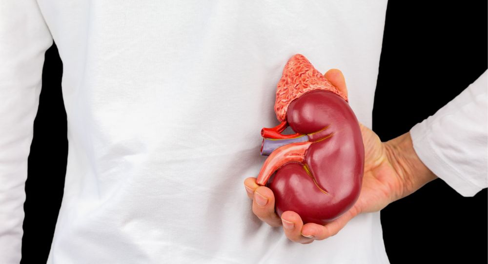 What Causes Kidney Disease? A Breakdown Of The Most Common Risk Factors